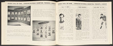 Load image into Gallery viewer, 44541269
