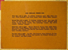 Load image into Gallery viewer, 1966 Chicago White Sox Vintage Full Sized Team Photo Pennant MLB Baseball Banner

