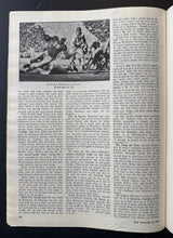 Load image into Gallery viewer, 44462788
