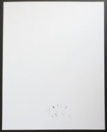 45208813