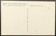 Load image into Gallery viewer, 46611650
