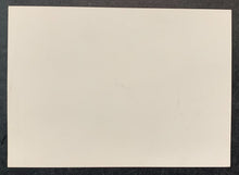 Load image into Gallery viewer, 47541440
