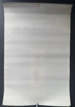 Load image into Gallery viewer, 45312879
