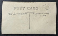 Load image into Gallery viewer, 47008191
