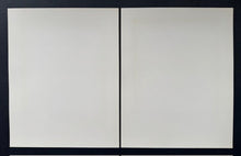 Load image into Gallery viewer, 44885705
