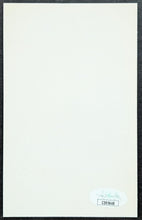 Load image into Gallery viewer, 47515187
