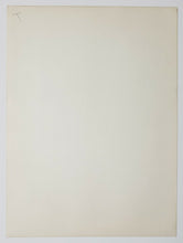 Load image into Gallery viewer, 47749923
