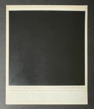 Load image into Gallery viewer, 45312877
