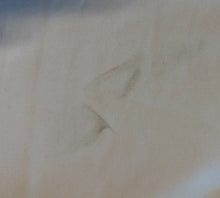 Load image into Gallery viewer, 47486039
