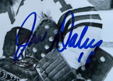 Load image into Gallery viewer, 46972477
