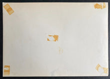 Load image into Gallery viewer, 47800832
