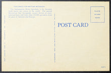 Load image into Gallery viewer, 45856511
