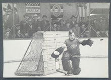 Load image into Gallery viewer, 43766216
