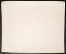 Load image into Gallery viewer, 47011295
