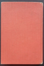 Load image into Gallery viewer, 43814349
