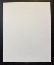 Load image into Gallery viewer, 47844915
