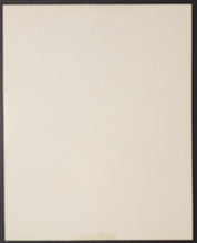 Load image into Gallery viewer, 47076956

