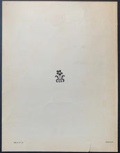 Load image into Gallery viewer, 45190586
