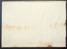 Load image into Gallery viewer, 43876616
