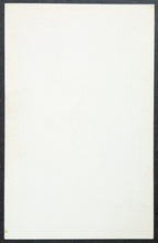 Load image into Gallery viewer, 47515189
