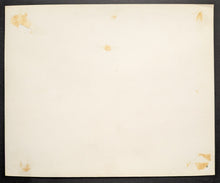 Load image into Gallery viewer, 47011295
