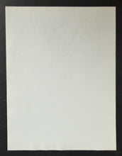 Load image into Gallery viewer, 46699039
