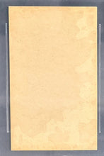 Load image into Gallery viewer, 47793247
