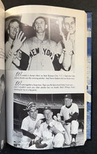 Load image into Gallery viewer, 46356440
