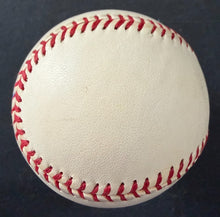 Load image into Gallery viewer, 47076931
