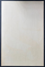 Load image into Gallery viewer, 47501299
