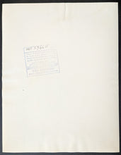 Load image into Gallery viewer, 47301531
