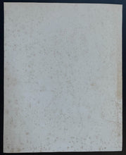 Load image into Gallery viewer, 43766213
