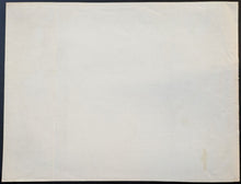 Load image into Gallery viewer, 43854252
