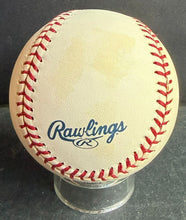 Load image into Gallery viewer, 47554143
