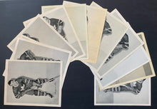 Load image into Gallery viewer, 45312935
