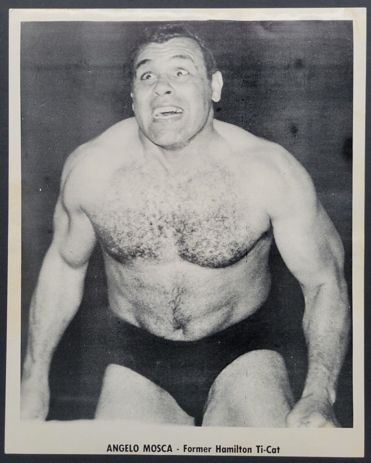Mos Angelo Angelo Mosca Photo CFL Football Wrestling Wrestler King Kong HOF ...
