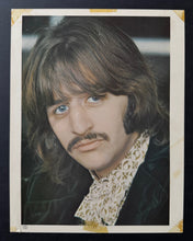 Load image into Gallery viewer, 45829082
