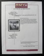 Load image into Gallery viewer, 44793078
