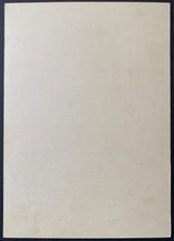 Load image into Gallery viewer, 47412150

