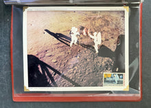 Load image into Gallery viewer, 47159688
