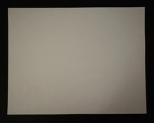 Load image into Gallery viewer, 47550121
