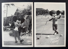 Load image into Gallery viewer, 43814250
