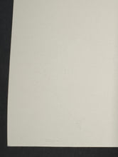 Load image into Gallery viewer, 45172685
