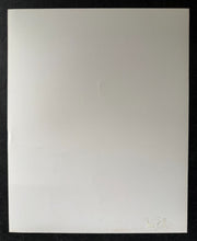 Load image into Gallery viewer, 47255788
