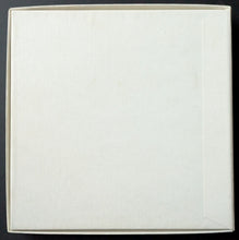 Load image into Gallery viewer, Simple Minds Custom Case Promotional CD For Street Fighting Years Vintage Rock
