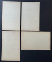 Load image into Gallery viewer, 43814373
