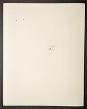 Load image into Gallery viewer, 46925768
