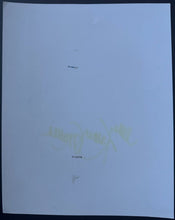 Load image into Gallery viewer, Kathy Mattea Signed Autographed 1992 Fan Club Publicity Photo Country Bluegrass
