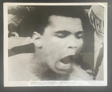 Load image into Gallery viewer, 45346849
