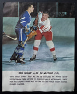 1964/65 Toronto Star Hockey Photo Red Wings Alex Delvecchio Contest On Reverse